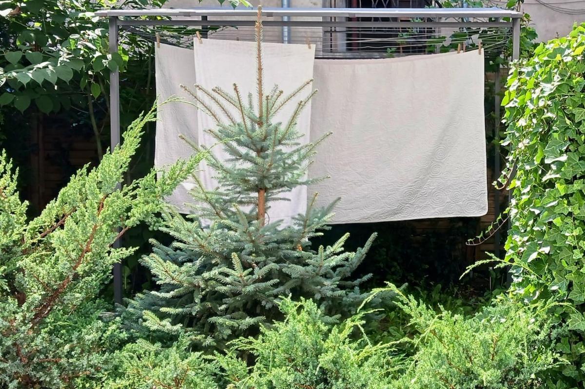 Centrum Krakowa, Z Ogrodem I Parkingiem Appartement *