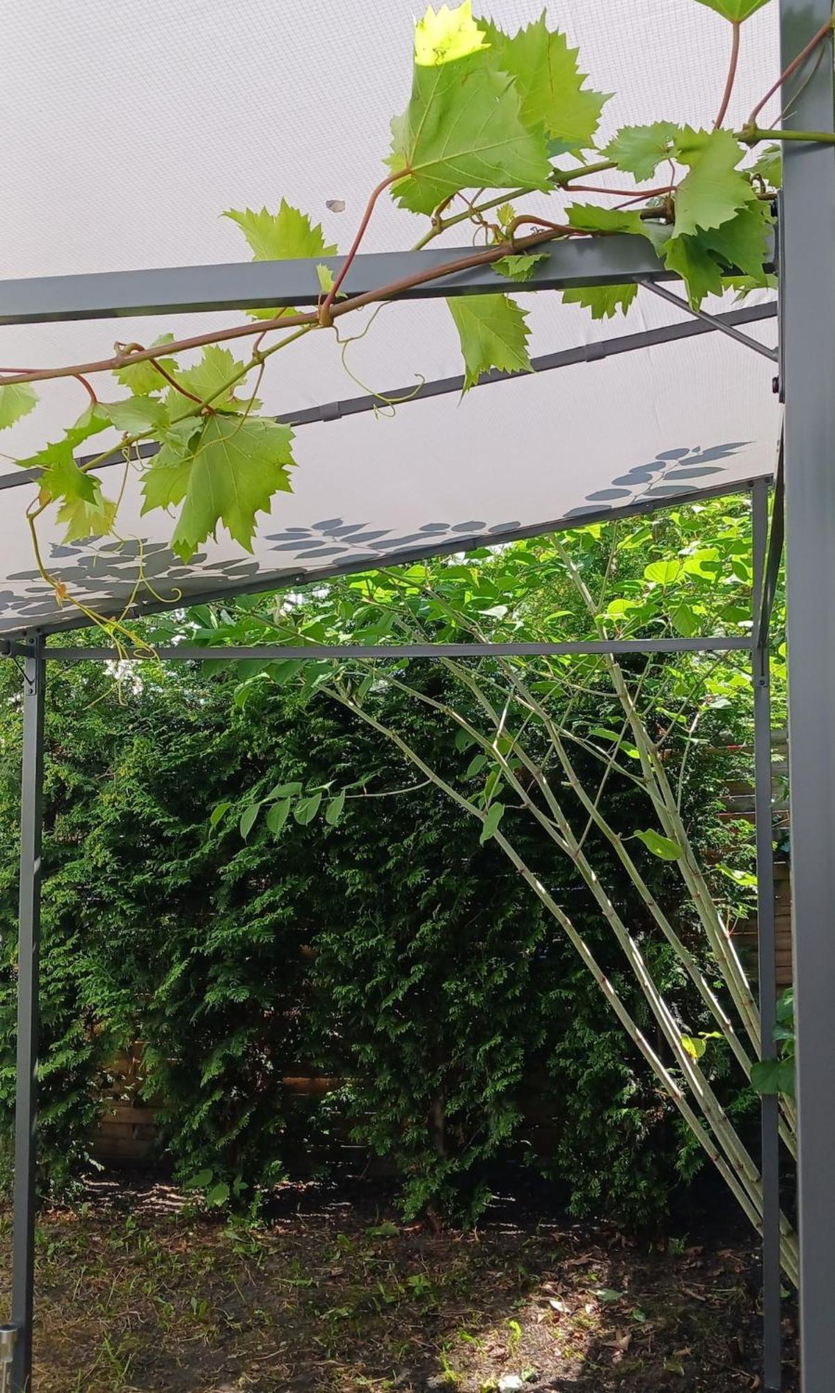 Appartement Centrum Krakowa, Z Ogrodem I Parkingiem Krakau