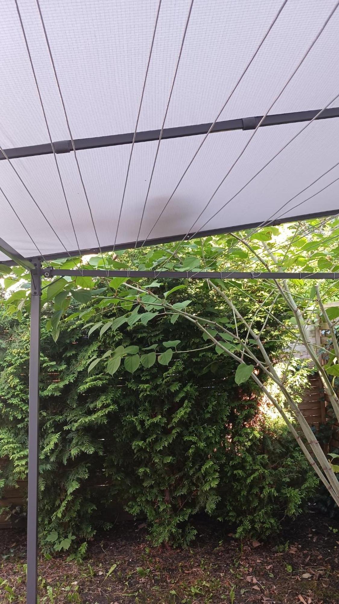 Appartement Centrum Krakowa, Z Ogrodem I Parkingiem *